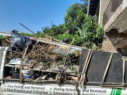 Best Construction Debris Removal in Clover, SC